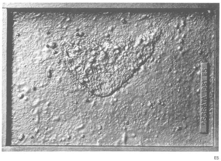 ASTM A 802 SCRATA Comparators for the definition of surface quality
